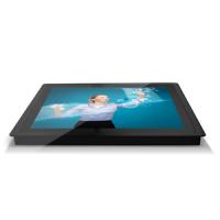 19" TSM-19PRN1X1,1280x1024,(5:4),250кд/м2,1000:1