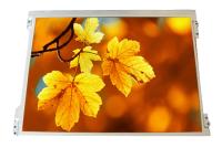 LCD GH12.1" 1024x768 G121XN01 V.0