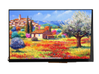 10.1'' TSN101D085EXT-02,1280×800 ,(),800кд/м2,900:1,LVDS,45