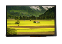 10.1" TSN101D001DXN-07,1280×800,(),1000кд/м2,900:1,LVDS,40