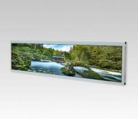 19.1'' BOE LCD DV190FBM-NB0,1920x360,(),300кд/м2,1200:1, LVDS, 30