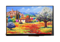 10.1" TSN101D305DXN-25D,1280×800,(),1000кд/м2,900:1,MIPI,40